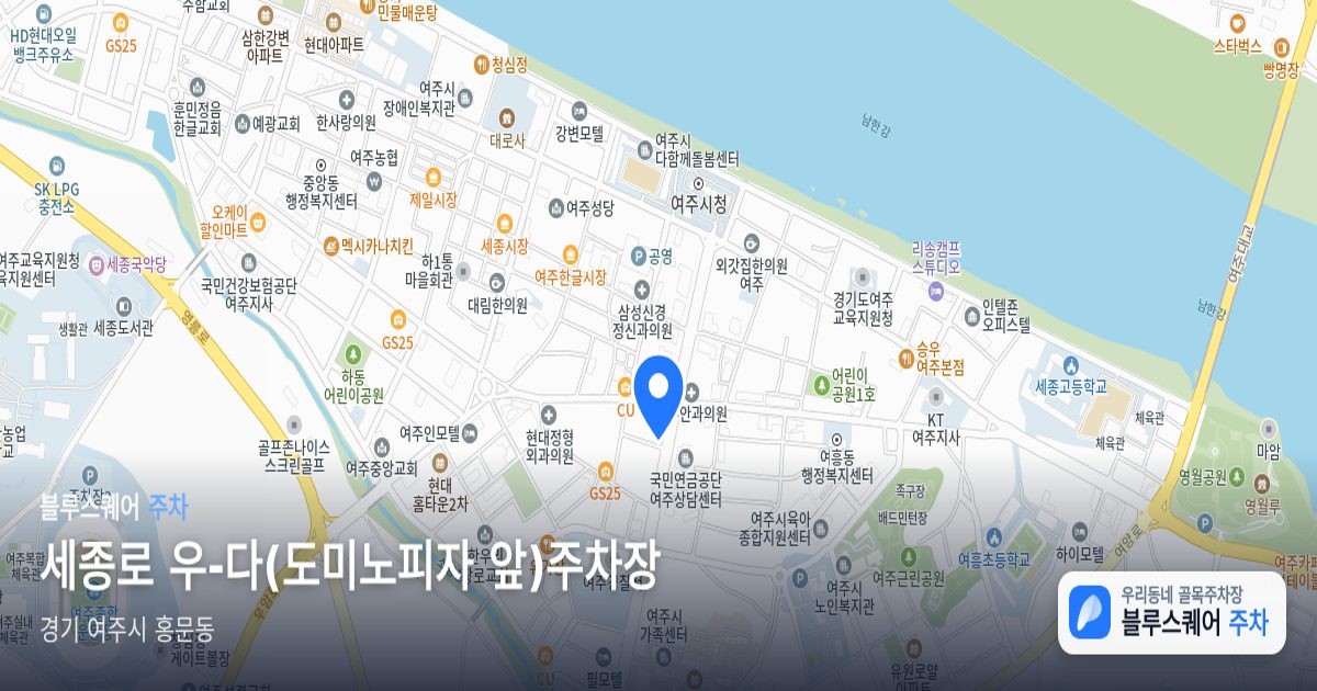 세종로 우-다(도미노피자 앞)주차장 위치 지도