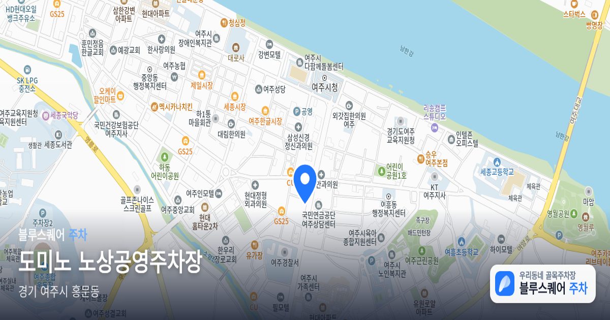 도미노 노상공영주차장 위치 지도