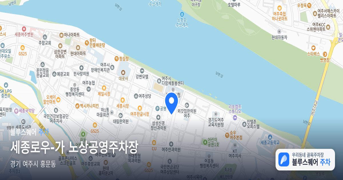 세종로우-가 노상공영주차장 위치 지도
