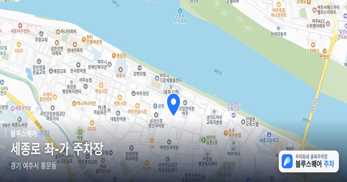 세종로 좌-가 주차장 위치 지도