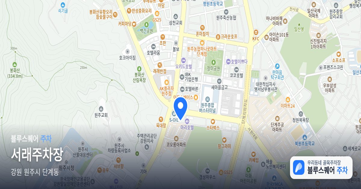 서래주차장 위치 지도