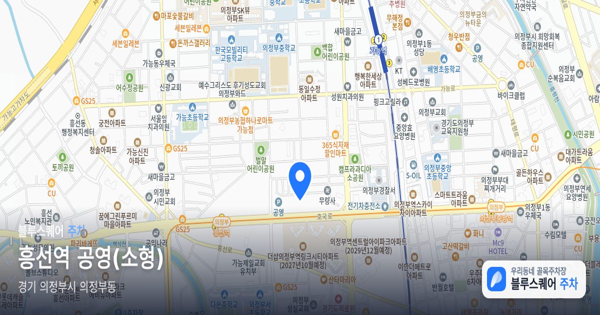 흥선역 공영(소형) 위치 지도