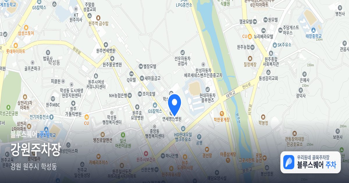 강원주차장 위치 지도