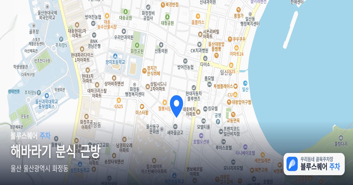 해바라기 분식 근방 위치 지도
