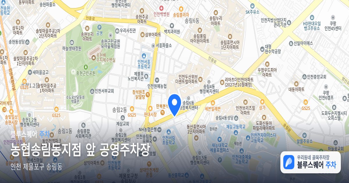 농협송림동지점 앞 공영주차장 위치 지도