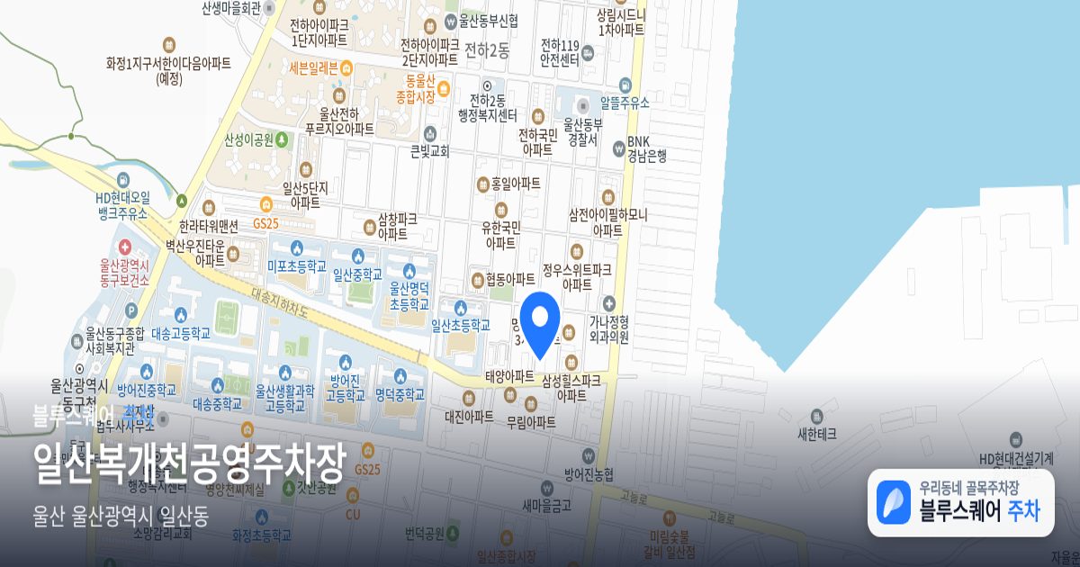 일산복개천공영주차장 위치 지도