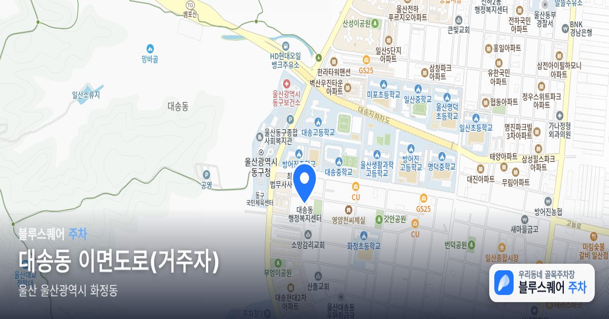 대송동 이면도로(거주자) 위치 지도
