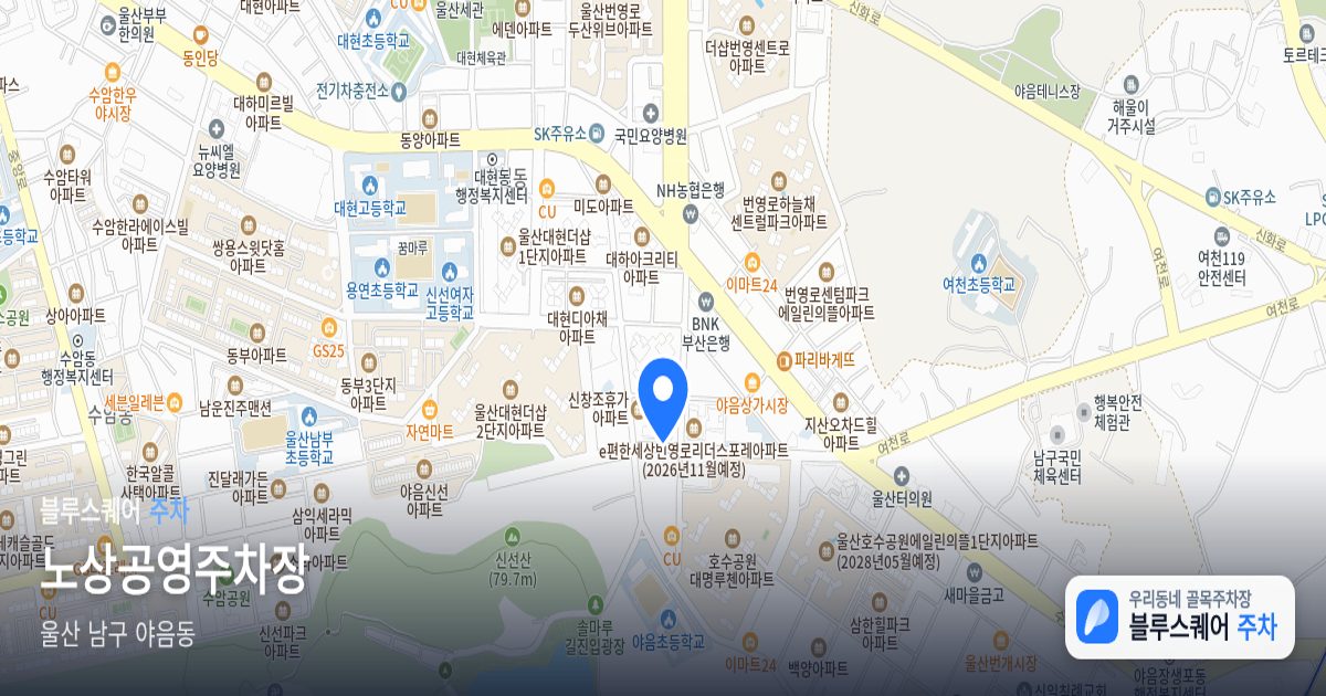 노상공영주차장 위치 지도