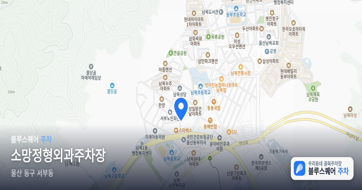 소망정형외과주차장 위치 지도