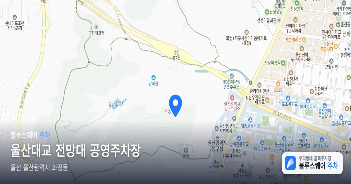 울산대교 전망대 공영주차장 위치 지도