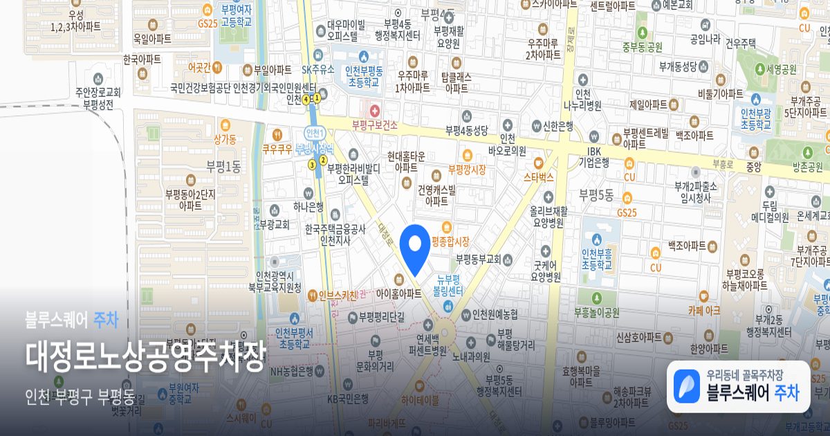 대정로노상공영주차장 위치 지도