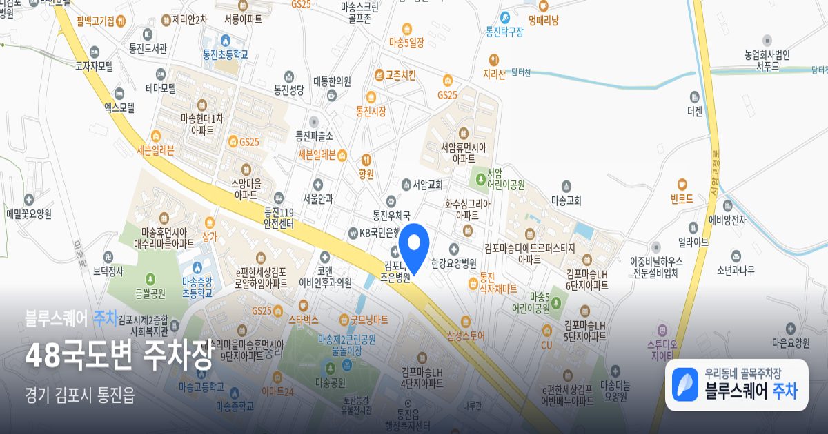 48국도변 주차장 위치 지도