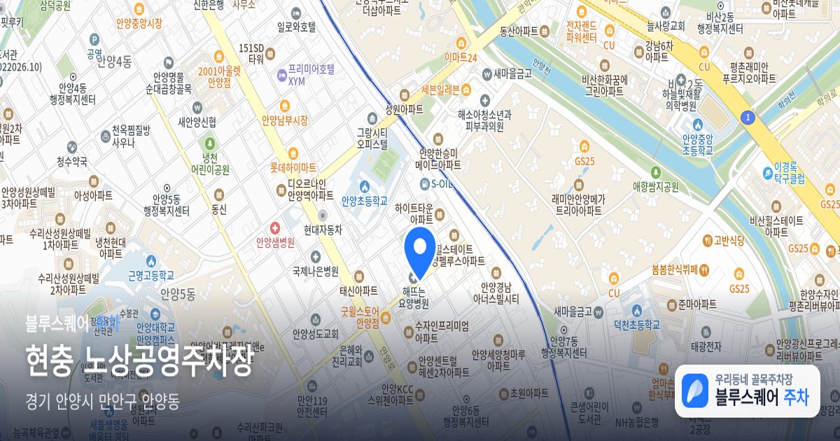 현충 노상공영주차장 위치 지도