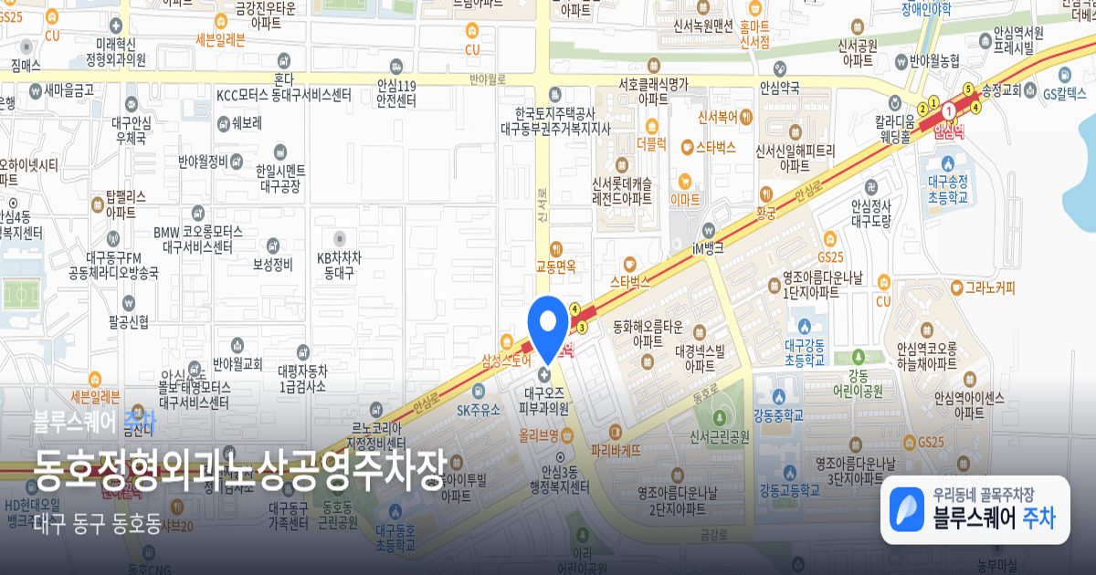 동호정형외과노상공영주차장 위치 지도