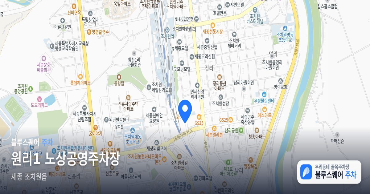 원리1 노상공영주차장 위치 지도