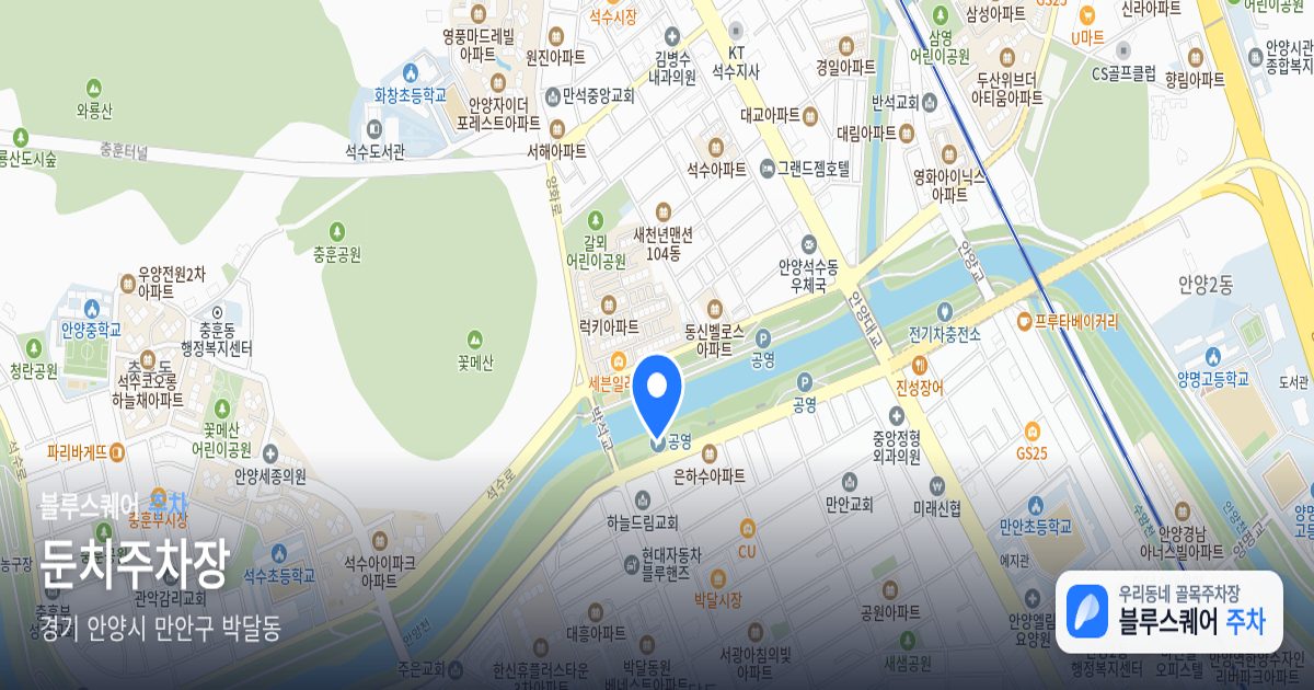 둔치주차장 위치 지도