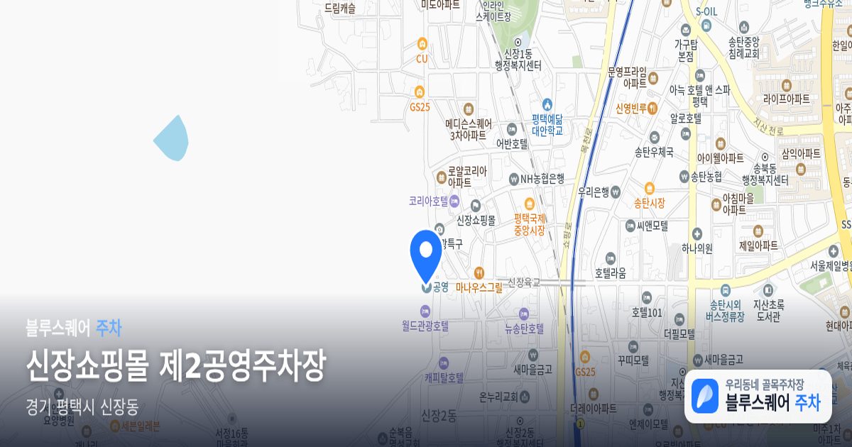신장쇼핑몰 제2공영주차장 위치 지도