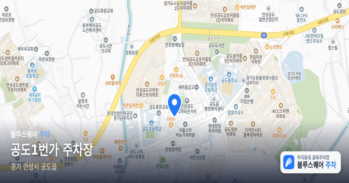 공도1번가 주차장 위치 지도
