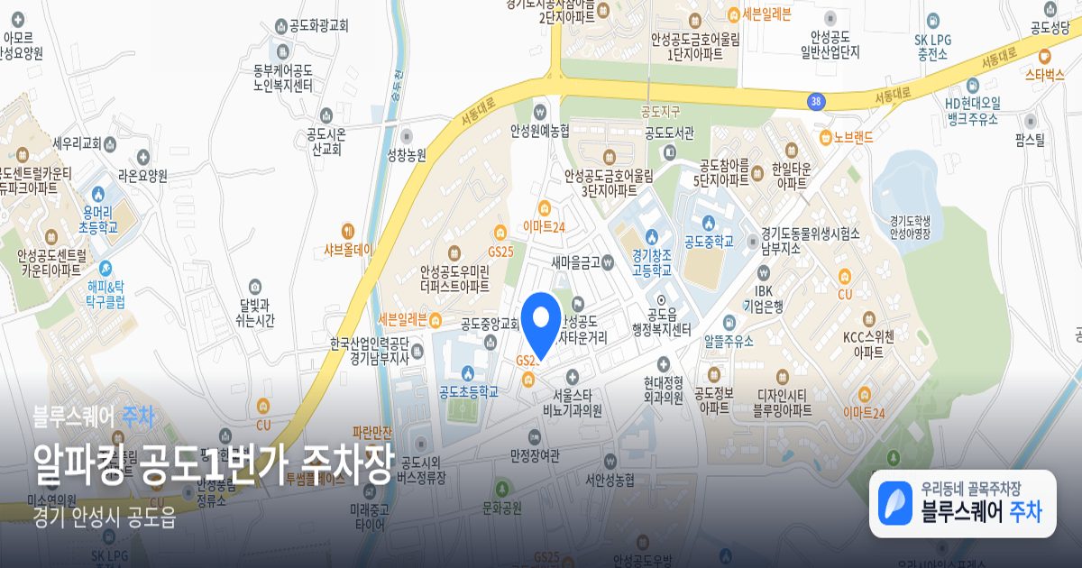 알파킹 공도1번가 주차장 위치 지도