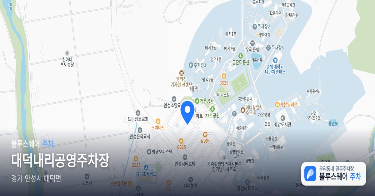 대덕내리공영주차장 위치 지도
