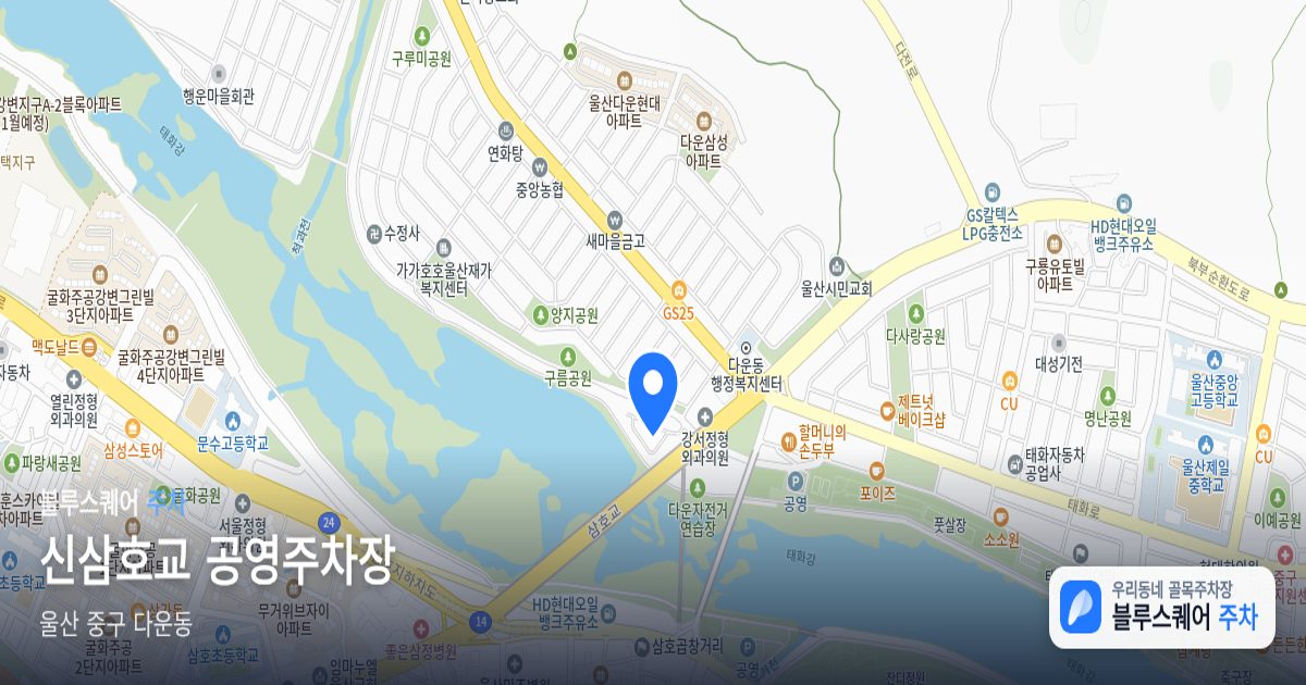 신삼호교 공영주차장 위치 지도