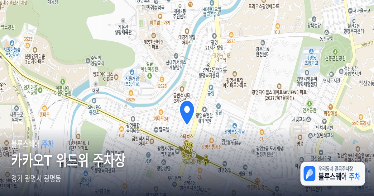 카카오T 위드위 주차장 위치 지도