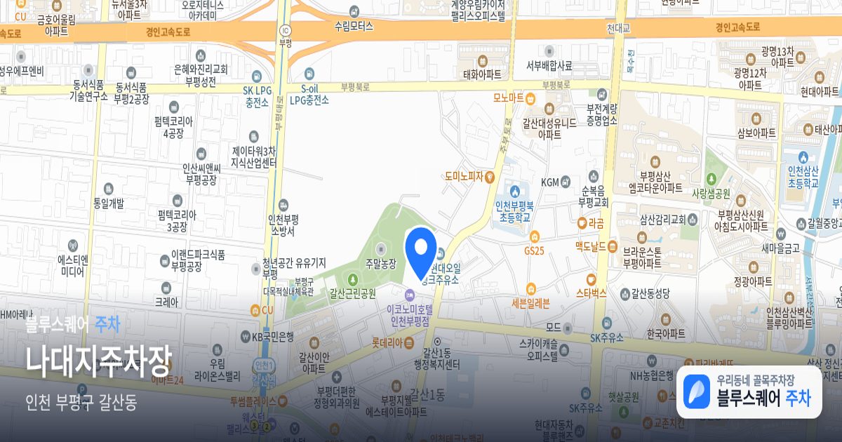 나대지주차장 위치 지도