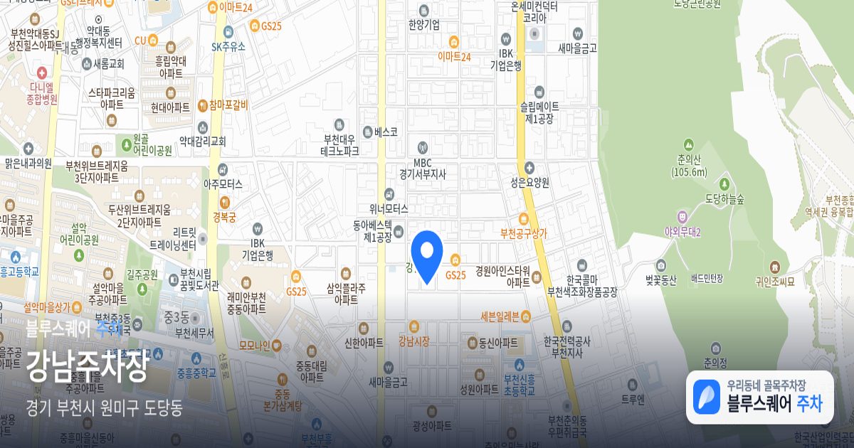 강남주차장 위치 지도