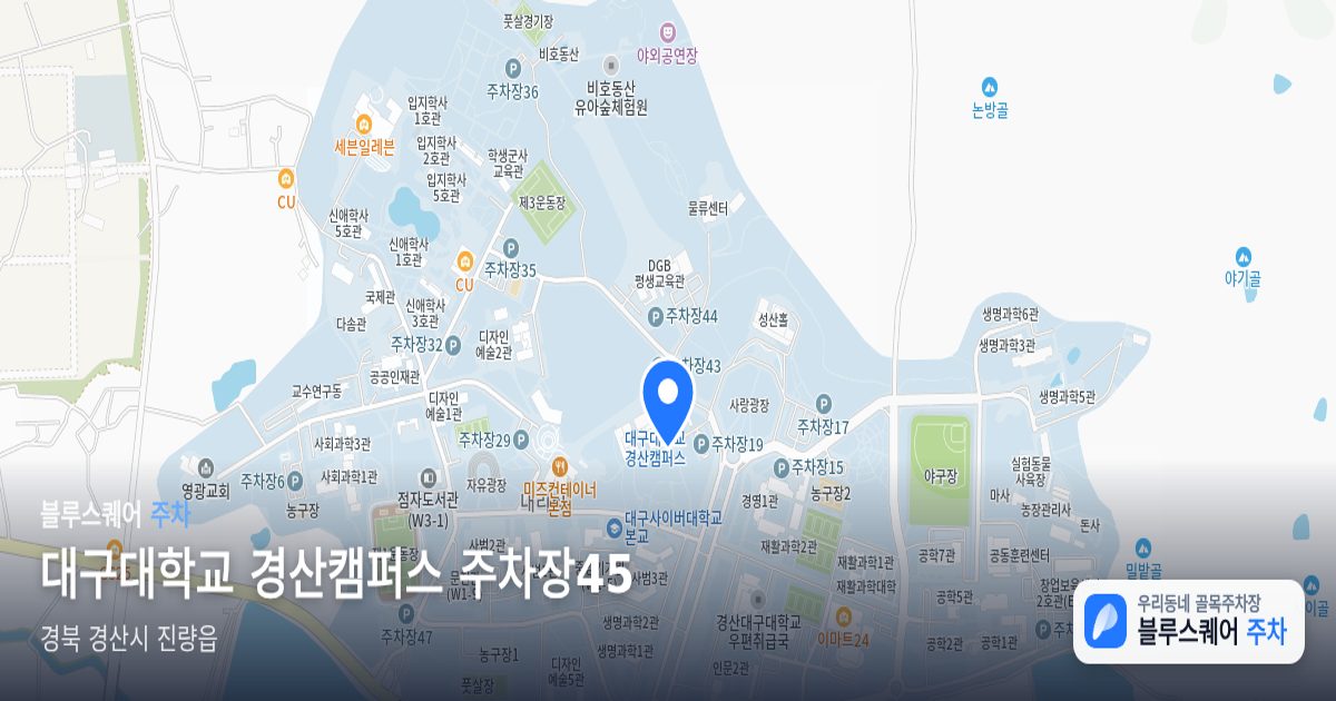대구대학교 경산캠퍼스 주차장45 위치 지도