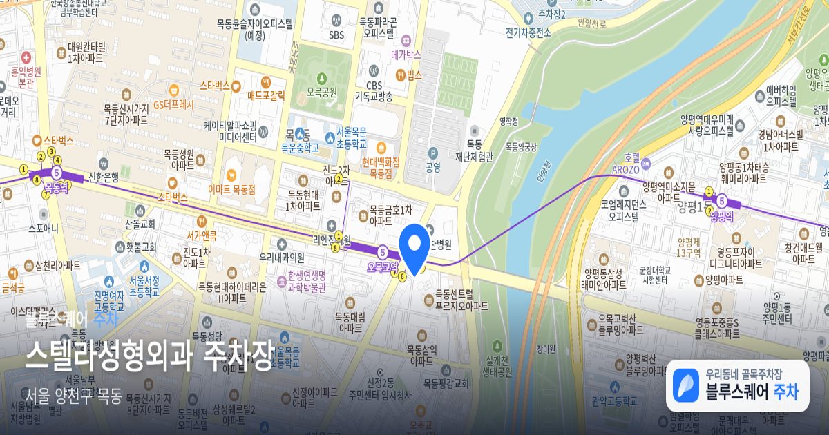 스텔라성형외과 주차장 위치 지도