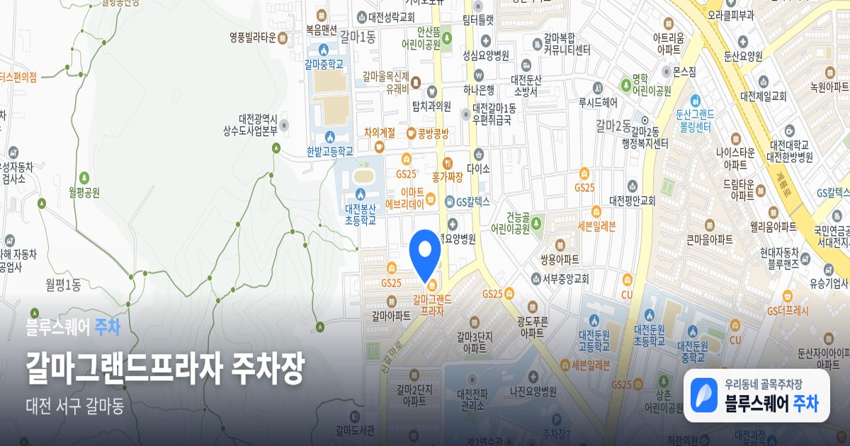 갈마그랜드프라자 주차장 위치 지도