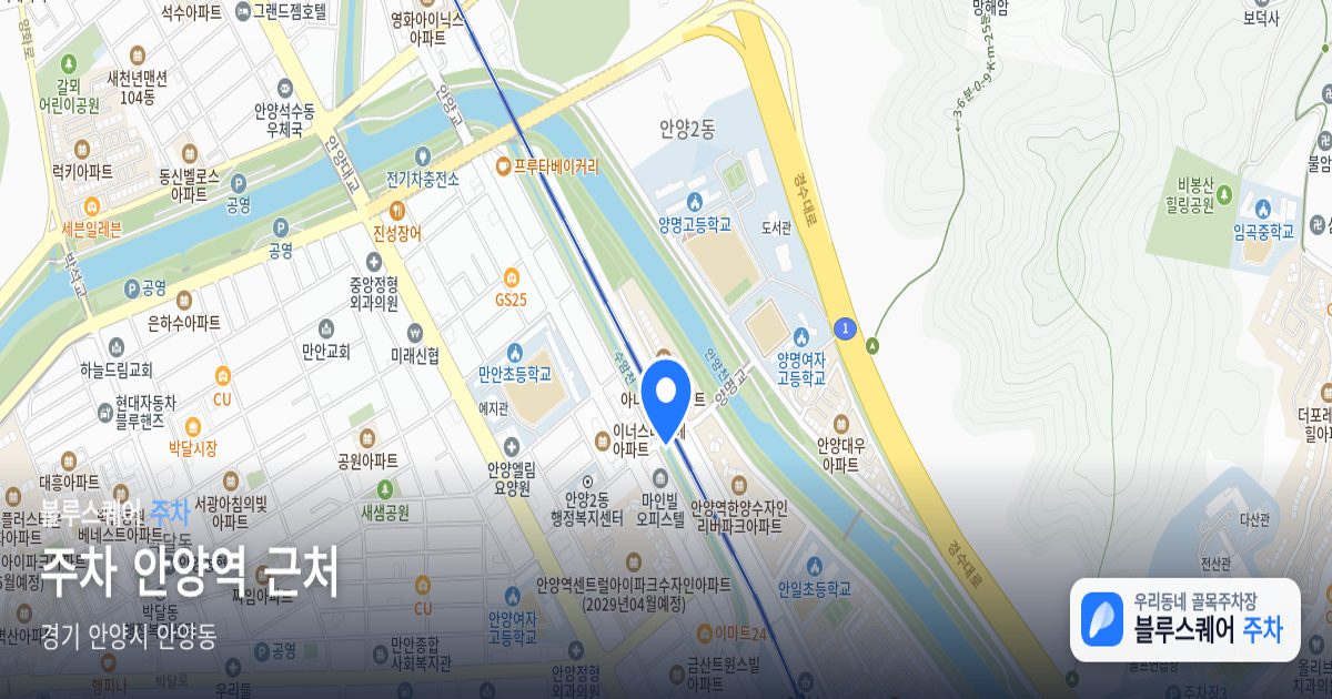 주차 안양역 근처 위치 지도