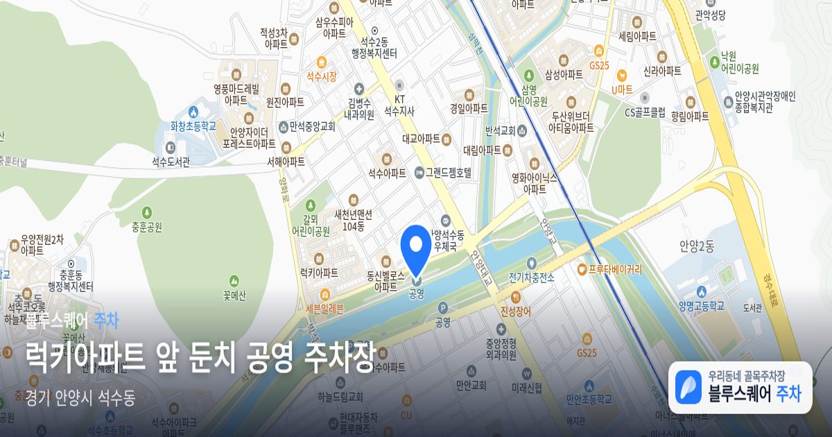 럭키아파트 앞 둔치 공영 주차장 위치 지도