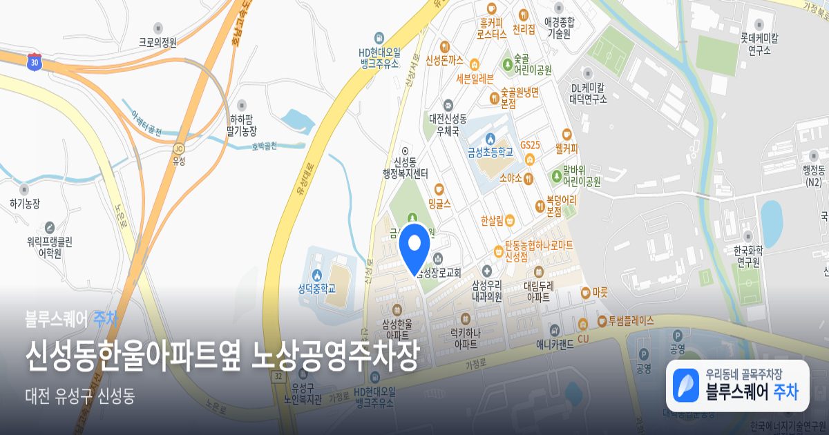 신성동한울아파트옆 노상공영주차장 위치 지도