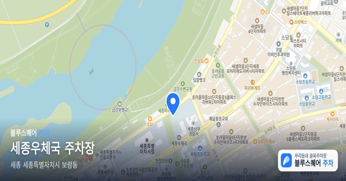 세종우체국 주차장 위치 지도