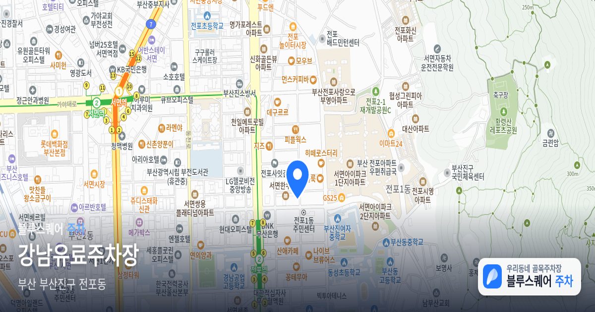 강남유료주차장 위치 지도