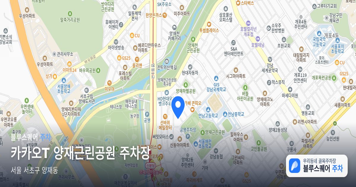 카카오T 양재근린공원 주차장 위치 지도