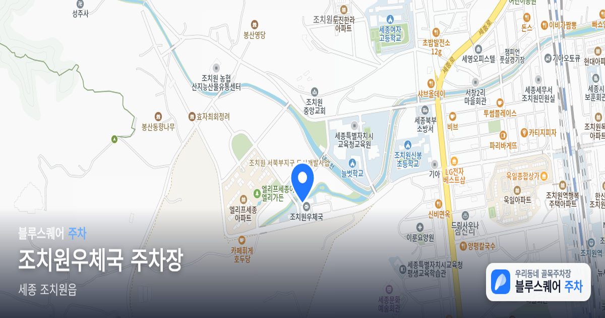 조치원우체국 주차장 위치 지도