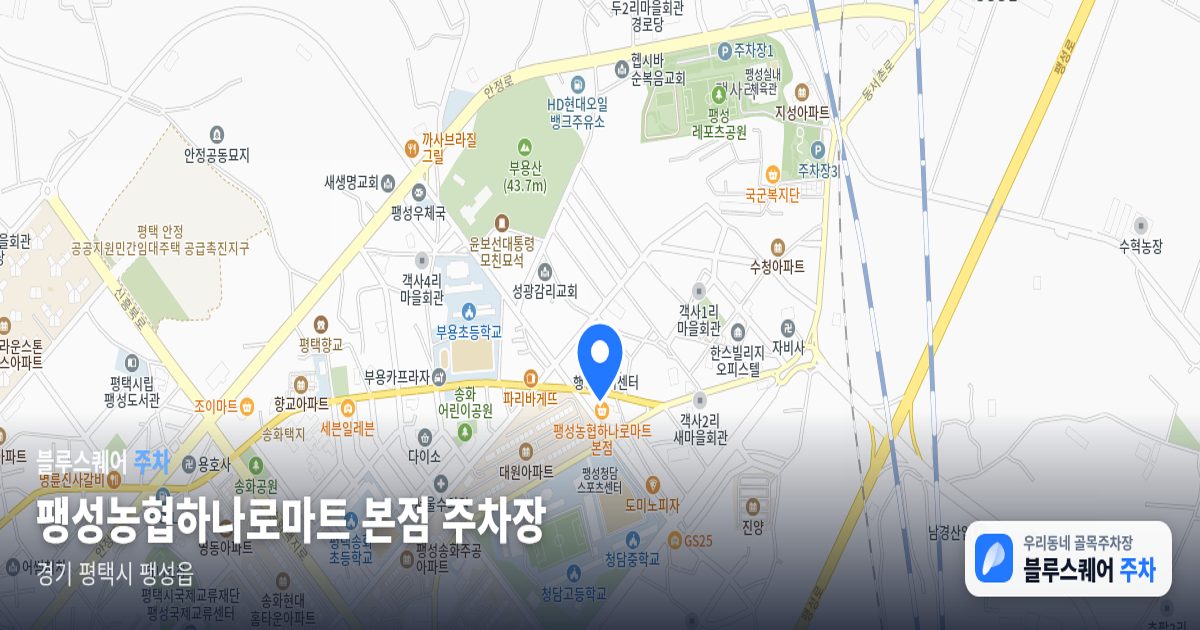 팽성농협하나로마트 본점 주차장 위치 지도