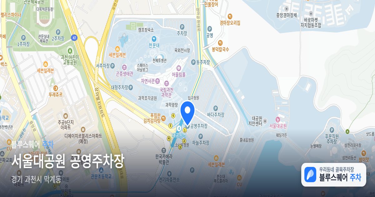 서울대공원 공영주차장 위치 지도