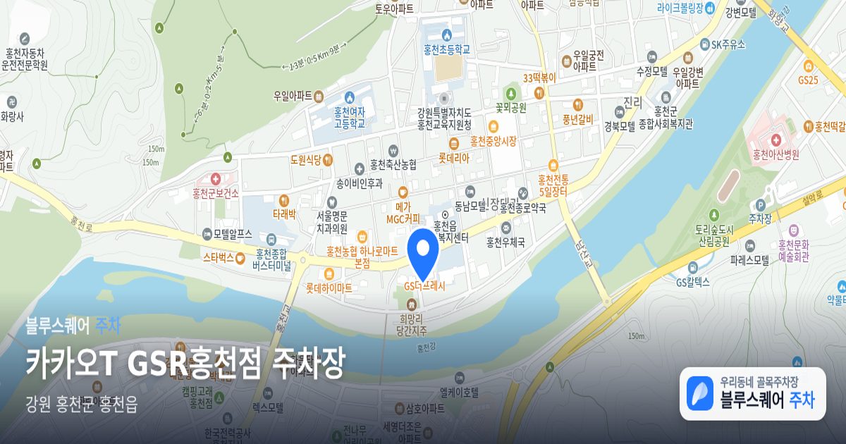 카카오T GSR홍천점 주차장 위치 지도