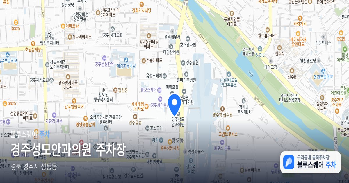 경주성모안과의원 주차장 위치 지도