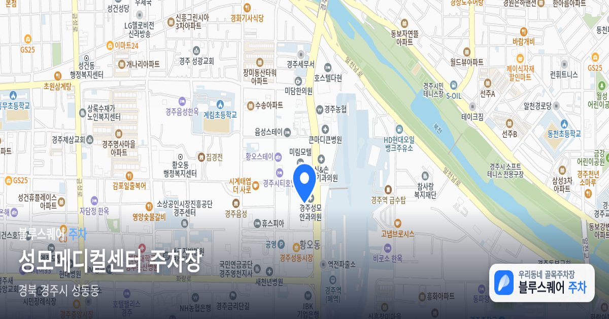 성모메디컬센터 주차장 위치 지도