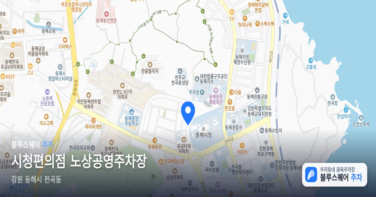 시청편의점 노상공영주차장 위치 지도