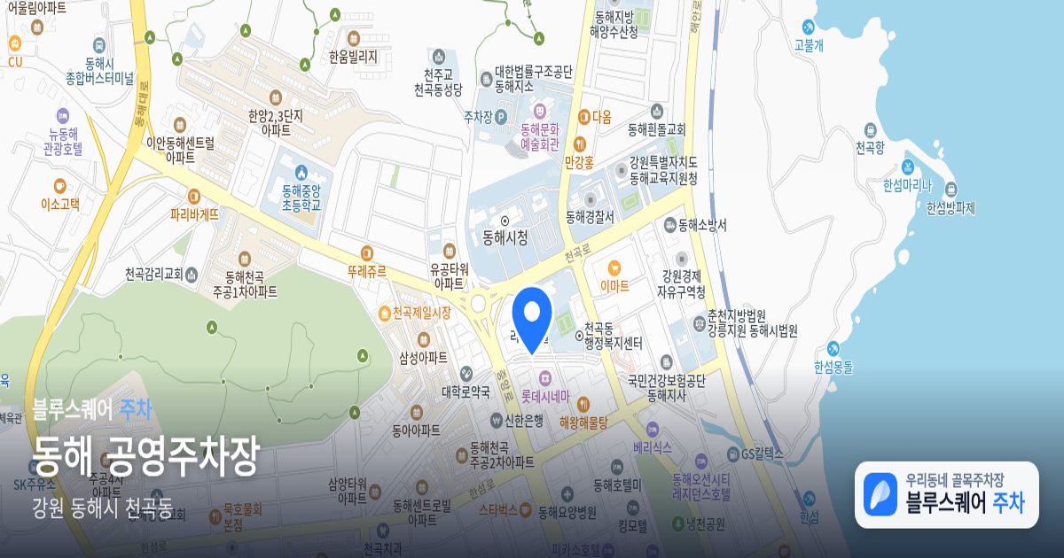 동해 공영주차장 위치 지도