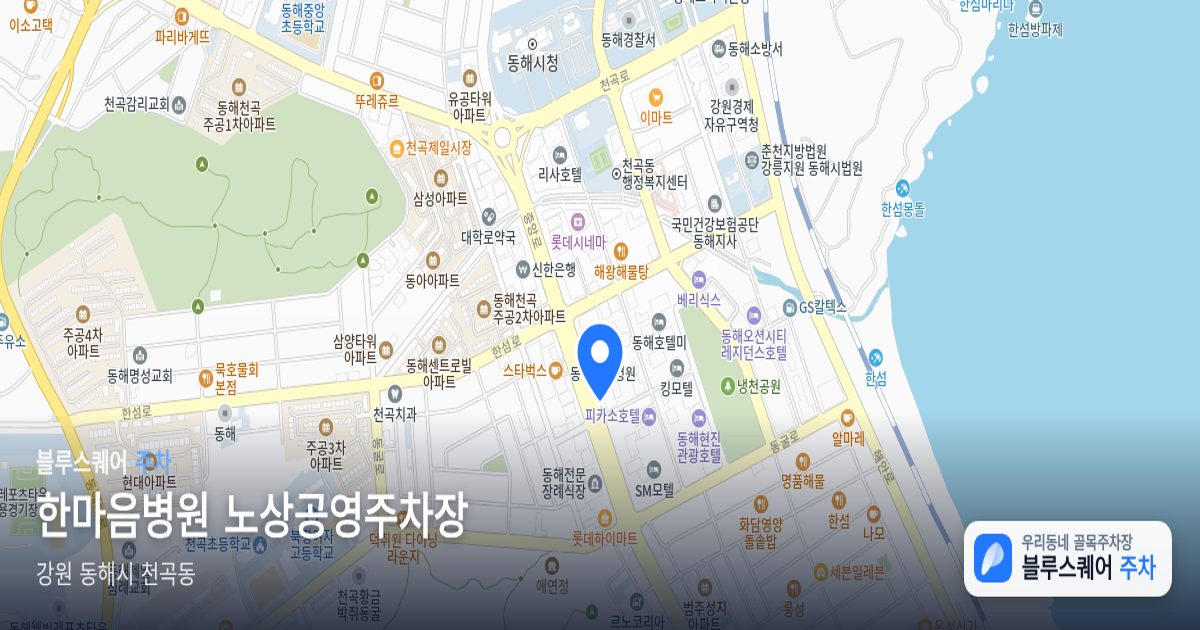 한마음병원 노상공영주차장 위치 지도