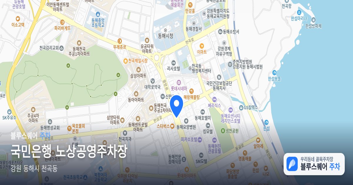 국민은행 노상공영주차장 위치 지도