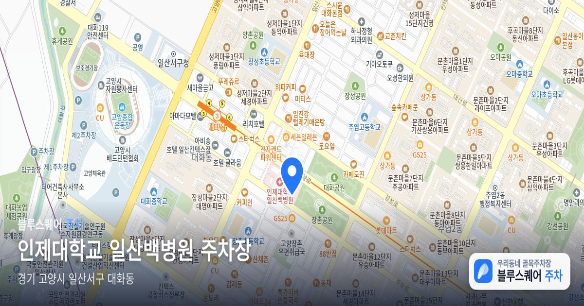 인제대학교 일산백병원 주차장 위치 지도