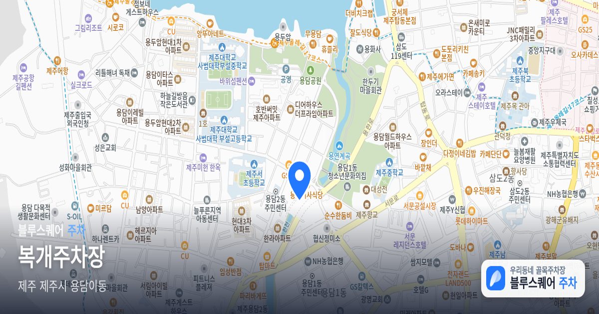 복개주차장 위치 지도