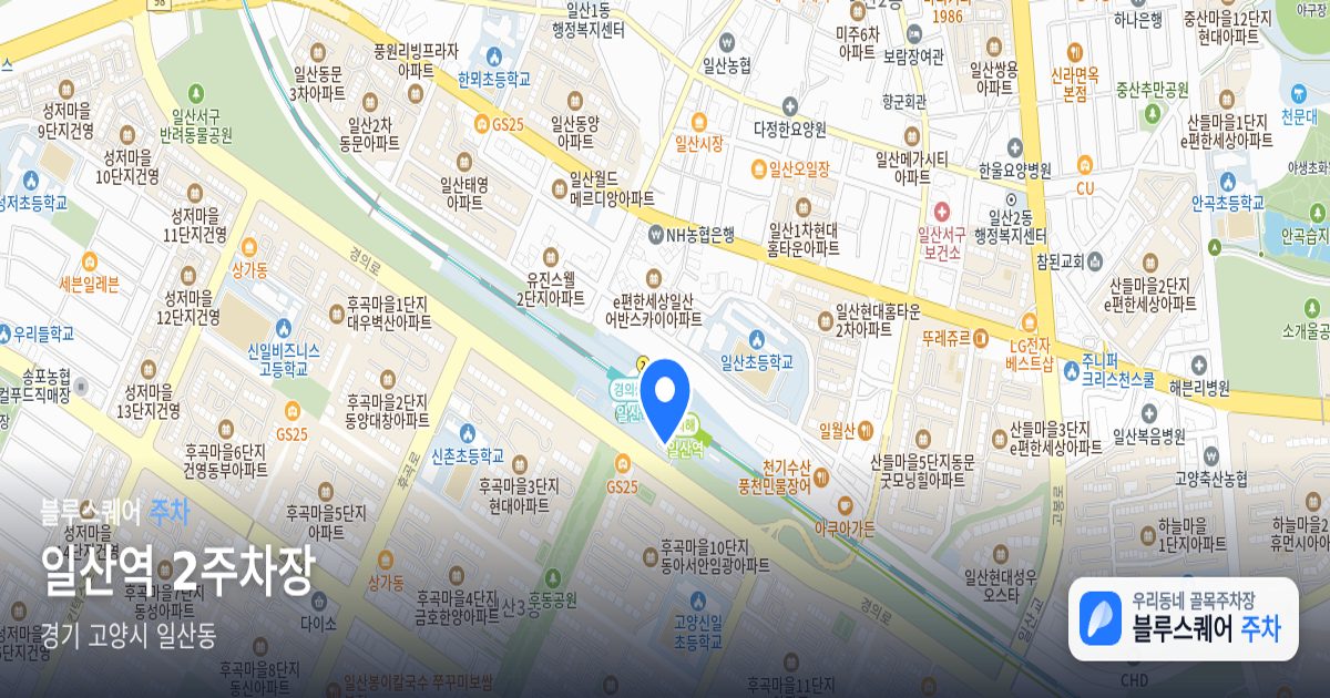 일산역 2주차장 위치 지도